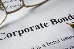 Companies collect 17 billion USD via bond issuance in 2020