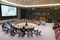 Vietnam underlines need to consider countries’ situation in transitions from peacekeeping operations