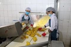 Agriculture export value up 20 percent in Q1