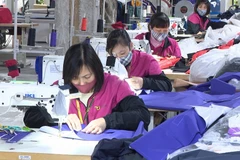 Thai Binh works to attract big investors in industry