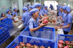 Free trade deals facilitate fruit and vegetable exports: insiders