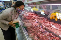 Russia’s pork exports to Vietnam fall significantly in November