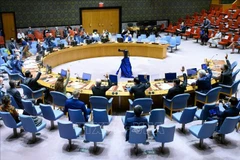 Illegal trade of small guns, light weapons affects int’l peace, security: Vietnamese ambassador