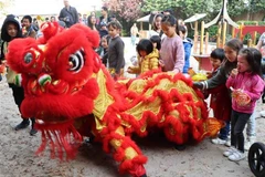 Vietnam Family Day in Belgium held