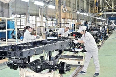 Workforce critical to feed industries in rapidly developing Vietnam: experts