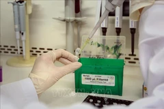 Germany presents more rapid test kits to Vietnam