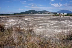 AO/dioxin still causes sufferings for generations of Vietnamese: German daily