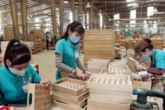 Labour demand in HCM City varies according to pandemic situation