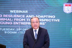 Webinar seeks ways to connect young entrepreneurs in HCM City and Indonesia