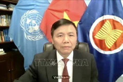Vietnam reiterates support for peace process in Afghanistan