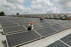Made-in-Vietnam solar panels escape US anti-circumvention investigation