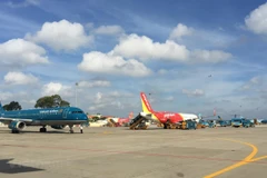 Airlines plan to increase domestic flights during Tet