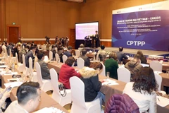 CPTPP benefits Vietnam-Canada trade ties: experts