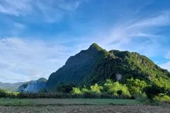 Protected zone established for endangered primates in Quang Binh