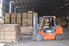 Vietnam's wood industry moving towards transparent trade