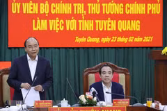 Tuyen Quang advised to pay greater attention to forest economy