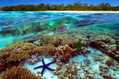 Vietnam plans activities in response to World Oceans Day
