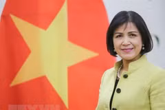 Vietnam supports South Centre’s role in promoting cooperation between developing countries