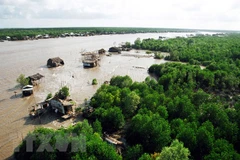 Environment monitoring project in mangroves launched in Ca Mau