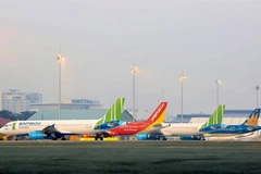 Support for domestic carriers should be fair: experts