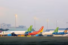 Support for domestic carriers should be fair: experts