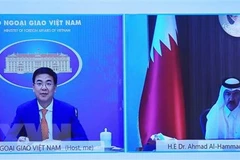 Vietnam, Qatar hold great cooperation potential