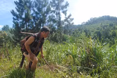Quang Nam looks to profit from reforestation efforts