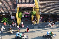 Survey: over 60 percent of Japanese want to visit Vietnam