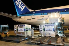 Batch of COVID-19 vaccine donated by Japan arrives in Vietnam