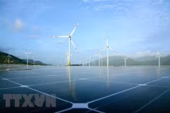 Quang Tri: Wind power projects worth over 250 million USD given go-ahead