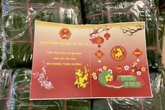 Vietnamese across the world celebrate traditional Lunar New Year