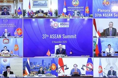 French politician lauds Vietnam's foreign policy