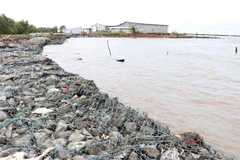 Ca Mau to invest 38.7 million USD to build coastal embankment