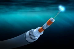 Internet connection expected to return to normal on February 24
