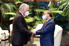 Cuba never feels alone thanks to solidarity with Vietnam: Top leader