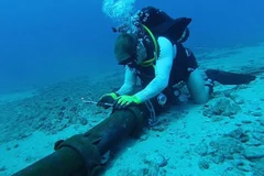 Asia-Africa-Europe 1 undersea cable has problem again