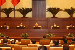 Vietnam consistent with independence, self-reliance spirit