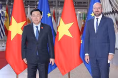 Vietnamese NA Chairman meets with European Council President 