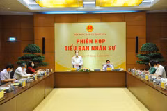 Personnel sub-committee of National Election Council meets