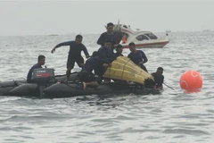 Vietnamese aviation ready to assist Indonesia after plane crash 