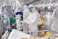 Italy willing to support Vietnam in the treatment of COVID-19