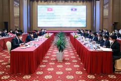 Deputy PM stresses Vietnam-Laos cooperation areas 