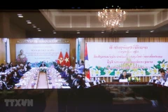 Vietnam prioritises special solidarity with Laos: official