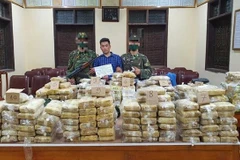 350kg of drugs seized in major bust