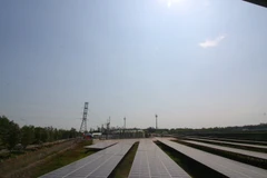 Mekong Delta’s first solar power plant underway in Hau Giang