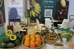 Vietnamese farm produce introduced at fruit & vegetable show in Italy