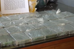 Drug trafficker caught in Dien Bien