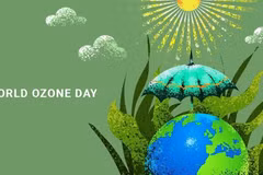 Vietnam joins global efforts in protecting ozone layer
