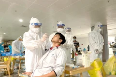 Transport workers most impacted by COVID-19 pandemic: survey