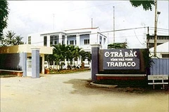 Tra Vinh-based business promotes coconut product export